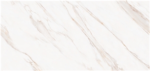 GARDAR FISH MAW GOLD Sintered Stone
