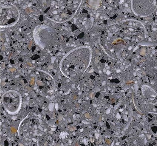 Oyster Cape Terrazzo
