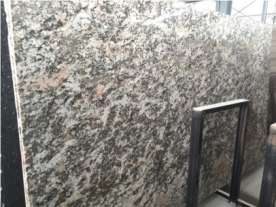 Beautiful Colors Desert Rose Polished Slab