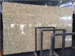 Reliable Quality Brazil Santa Cecilia Granite Slab