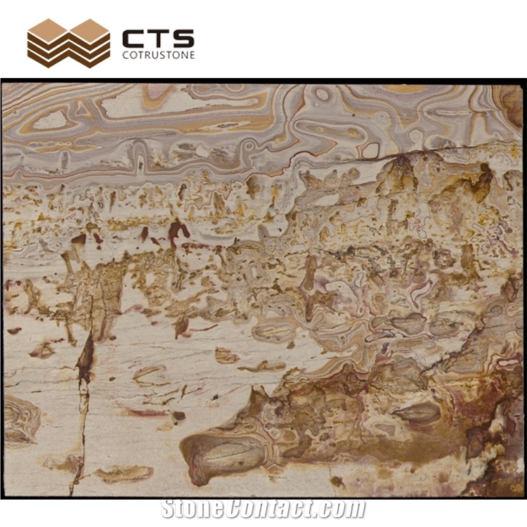 Picasso Gold Quartzite Luxury Slab Chinese Painting Look