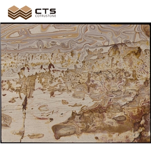 Picasso Gold Quartzite Luxury Slab Chinese Painting Look