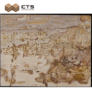 Picasso Gold Quartzite Luxury Slab Chinese Painting Look