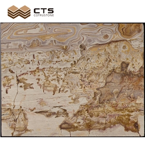 Picasso Gold Quartzite Luxury Slab Chinese Painting Look