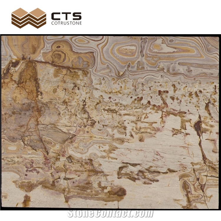 Picasso Gold Quartzite Luxury Slab Chinese Painting Look