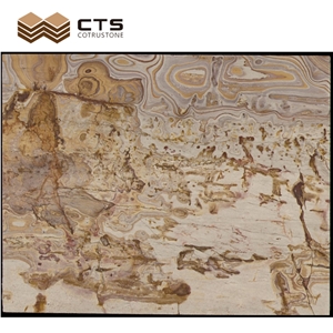 Picasso Gold Quartzite Luxury Slab Chinese Painting Look