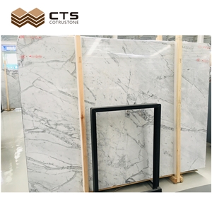Royal Golden White Marble Modern Style Customized Select