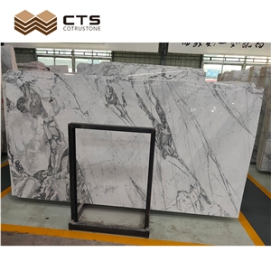 Royal Golden White Marble Modern Style Customized Select