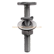 Stainless Steel T Bolt Hammer Head Bolt T Screw Bolts