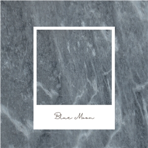 Grey Marble Pattern Set 20 Mm Polished