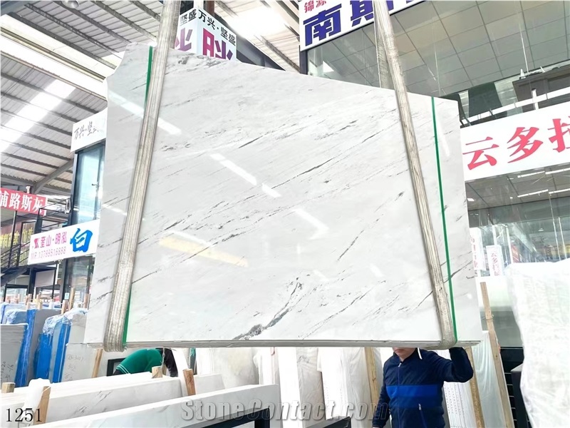 Yugoslavia White Marble Bianco Polaris Classic Slab In China