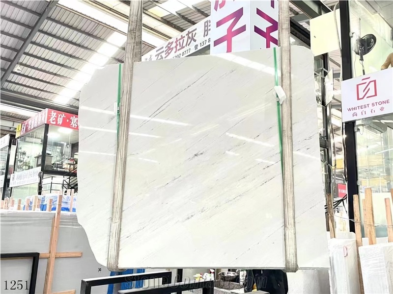 Yugoslavia White Marble Bianco Polaris Classic Slab In China