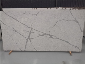 Well Konwn Bird White Artificial Quartz Kitchen Tops