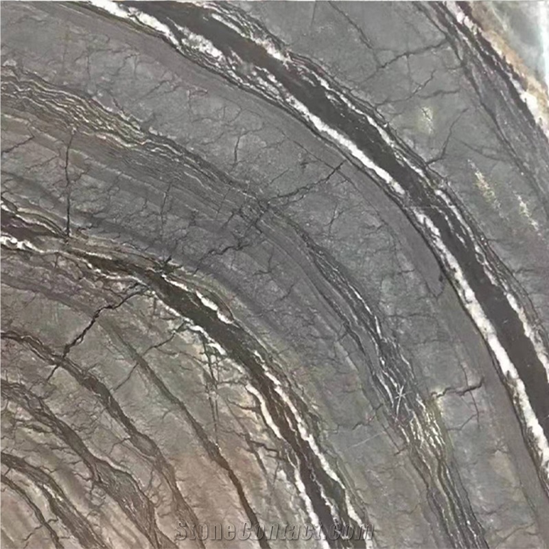 Ornamental Natural Stone Polished Zebra Black Marble Slab