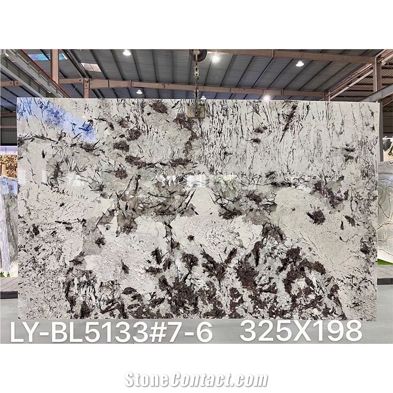 Alaska White Alpinus Black Crystal Granite Slab