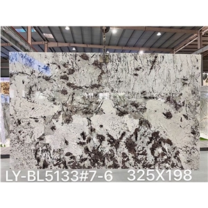 Alaska White Alpinus Black Crystal Granite Slab