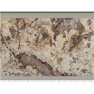 Factory Direct Patagonia Botanic Royal Exotic Stone Slab