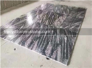 Nero Santiago, Fantasy Grey Wood Vein, Multicolor Grey