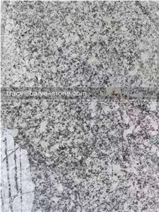 New Landscape Grey, New Ash Grey New Landscape Grey, New Ash Grey