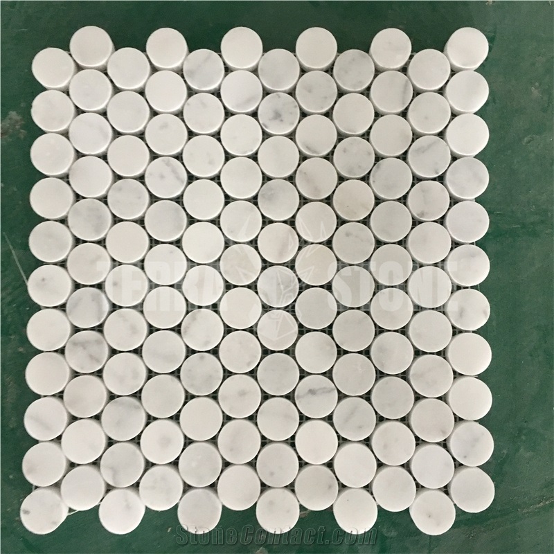 Italy Carrara C White Marble Mosaic Penny Round Pattern