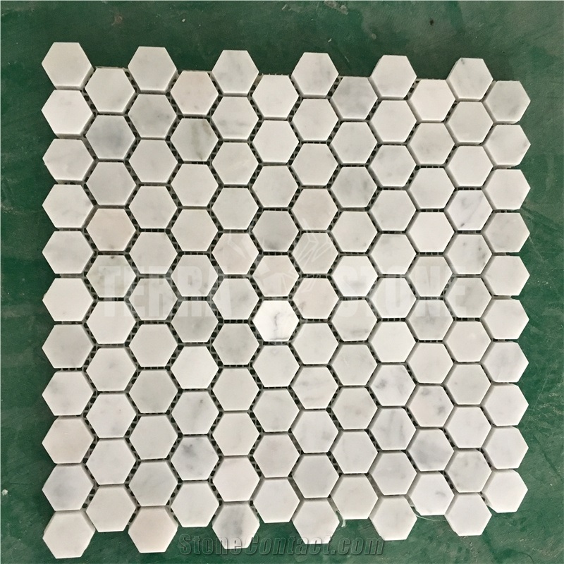 Italy Carrara C White Marble Mosaic Penny Round Pattern