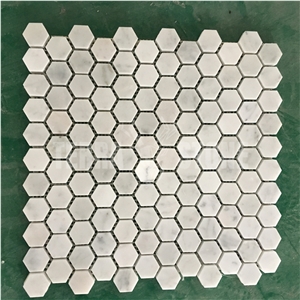 Italy Carrara C White Marble Mosaic Penny Round Pattern