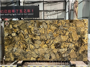 Yellow Fossil Quartz Semiprecious Stone Slab Translucent