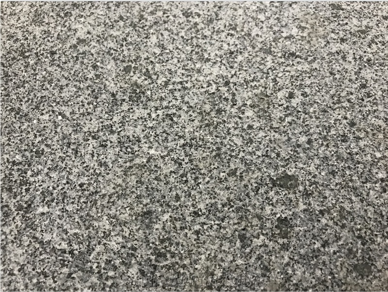Wholesale Dark Grey Granite G654 New Quarry Flamed Paver