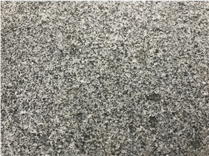Wholesale Dark Grey Granite G654 New Quarry Flamed Paver