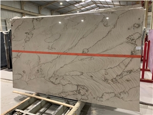 Light Grey With Dark Brown Veins Quartzite Slabs & Tiles