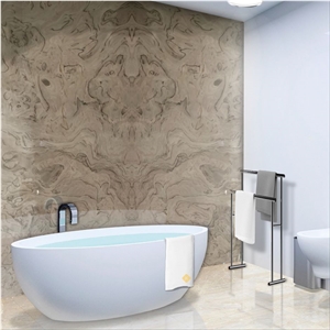 Light Grey With Dark Brown Veins Quartzite Slabs & Tiles