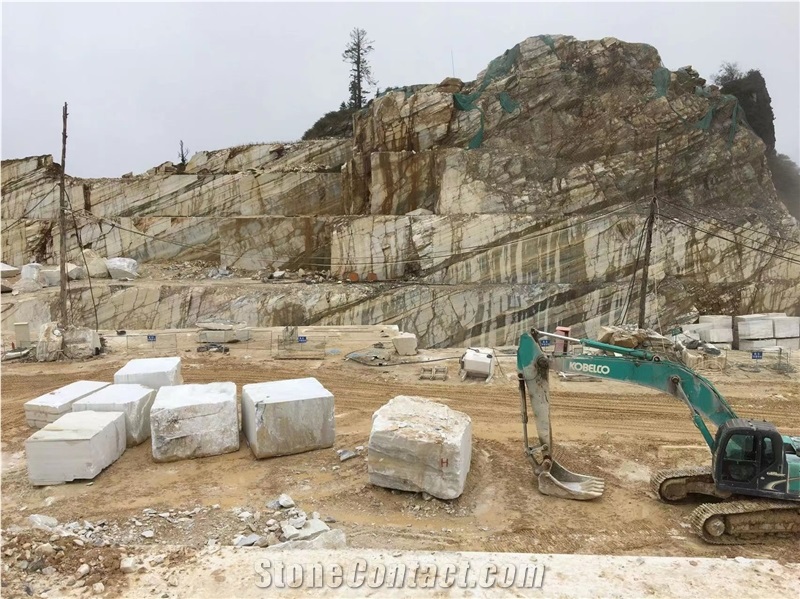 Zebrino Bluette Marble Quarry