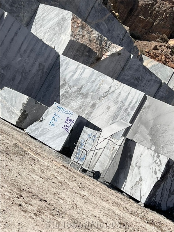 Black Zebra Marble Blocks