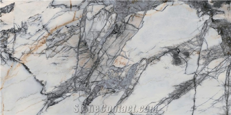 Artificial Stone Sintered Stone BIRD OF PARADISE