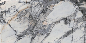 Artificial Stone Sintered Stone BIRD OF PARADISE