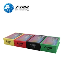 Z-LION Electroplated Diamond Hand Polishing Pads For Glass