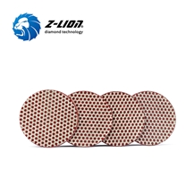 Z-LION Roloc Diamond Polishing Discs