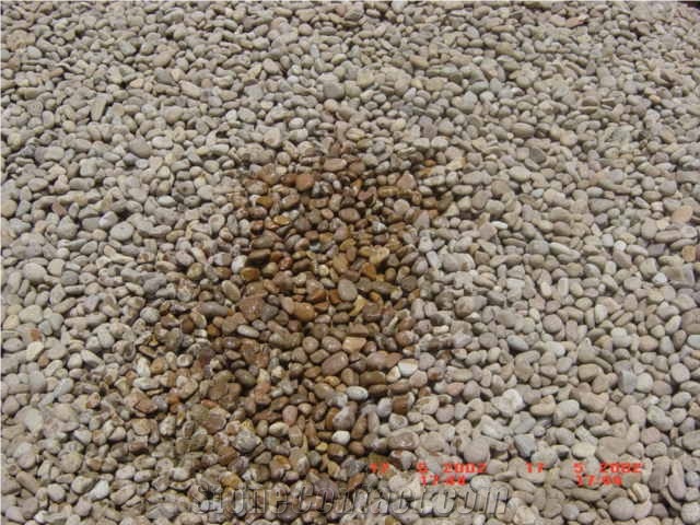 China Yellow Quartzite Pebble Stone On Mesh