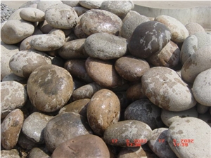 China Yellow Quartzite Pebble Stone On Mesh