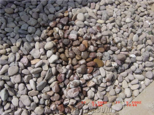 China Yellow Quartzite Pebble Stone On Mesh