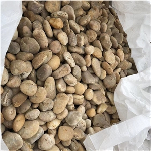 Factory Lower Price Multi-Color River Stone  For Garden