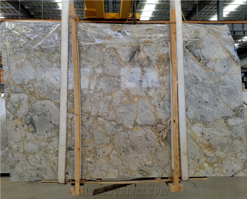 Versace Gold Grey Marble Rough Slabs