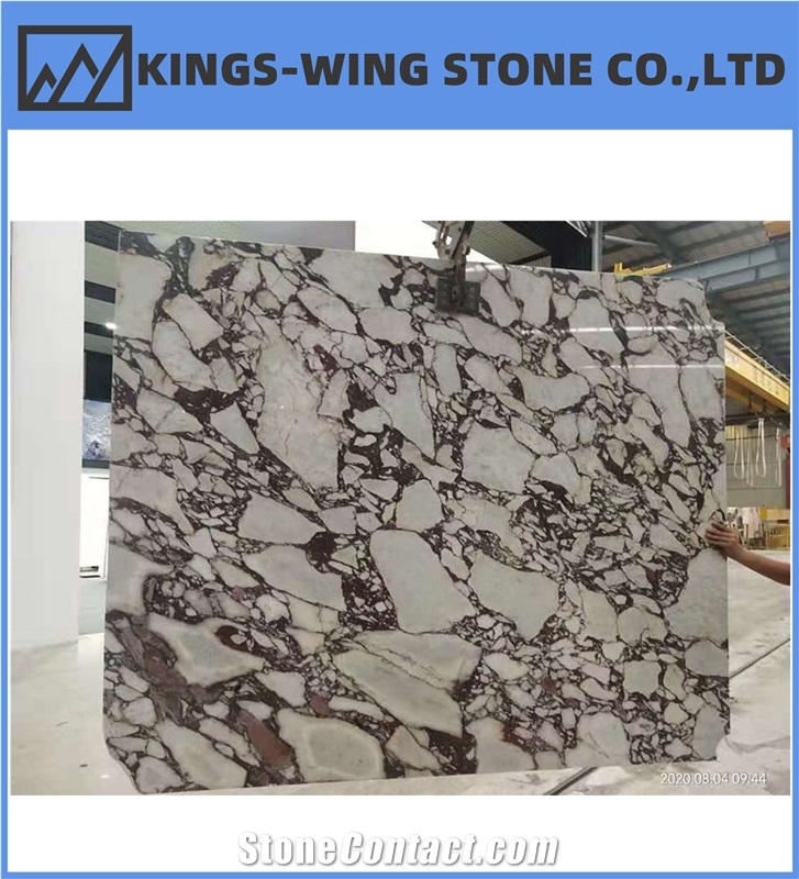 Calacatta Viola Marble Slab Floor Wall Tiles Open Book