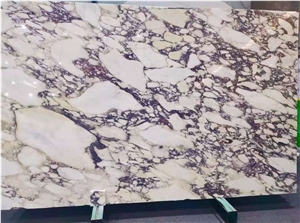 Calacatta Viola Marble Slab Floor Wall Tiles Open Book
