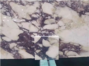 Calacatta Viola Marble Slab Floor Wall Tiles Open Book