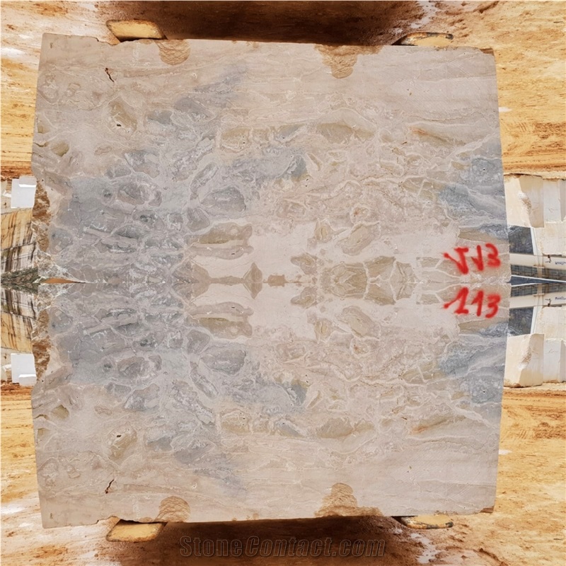 Breccia Oniciata Bluetta Marble Blocks 113