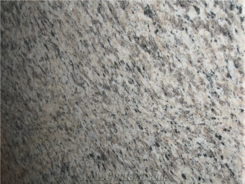 Tiger Skin White For Wall, Tile And Floor Project