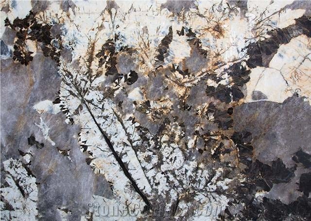 Golden Butterfly Brazil Origin Polished Granite Slab