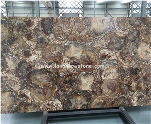 Brown Semiprecious Gem Stone Petrified Wood Slab