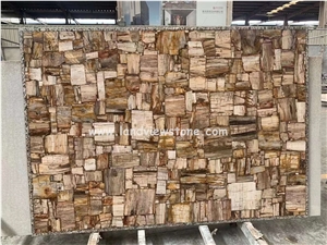 Brown Semiprecious Gem Stone Petrified Wood Slab